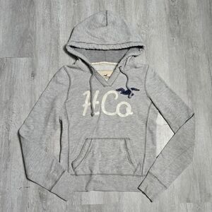 Y2K Hollister Co. Gray Hoodie Sweatshirt Big Bird Logo Surf Size Small